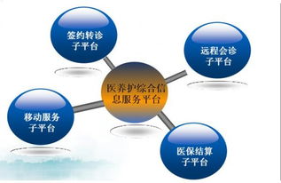互聯(lián)網(wǎng)益民服務(wù)的杭州樣本 數(shù)字化重塑便民生態(tài)